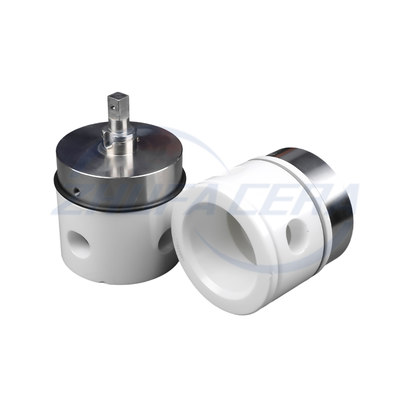 জিরকোনিয়া সিরামিক মেটাল প্লাঙ্গার