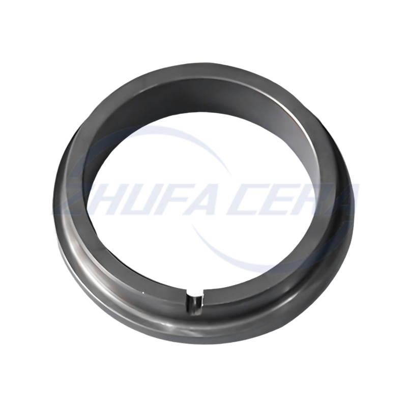 সিলিকন নাইট্রাইড পরিধান-প্রতিরোধী রিং